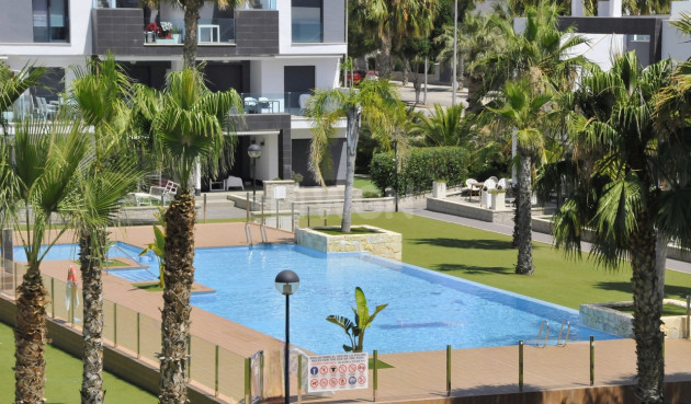 Daszek - Odsprzedaż - Guardamar del Segura - Costa Blanca