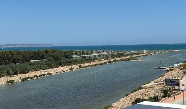 Daszek - Odsprzedaż - Guardamar del Segura - Puerto Deportivo