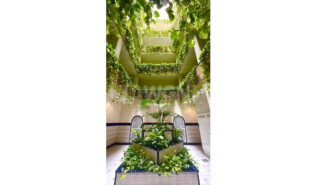 Daszek - Odsprzedaż - Torrevieja - 14998