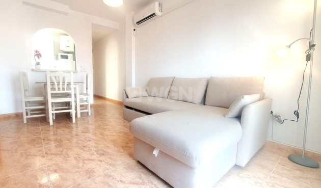 Daszek - Odsprzedaż - Torrevieja - 64139