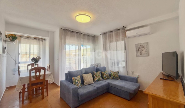 Daszek - Odsprzedaż - Torrevieja - Habaneras