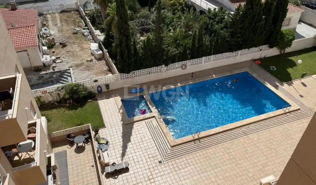 Daszek - Odsprzedaż - Torrevieja - Nueva Torrevieja