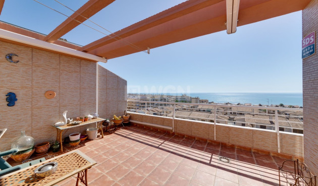 Duplex - Wiederverkauf - Guardamar del Segura - Costa Blanca