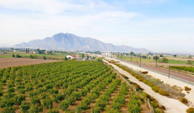 Finca - Odsprzedaż - Callosa de Segura - Inland