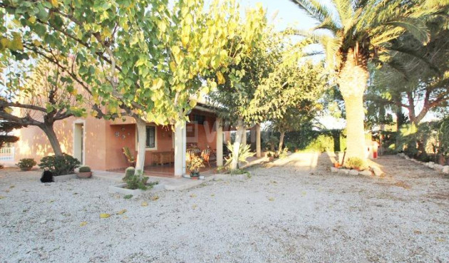 Finca - Resale - Almoradí - Comunidad Valenciana