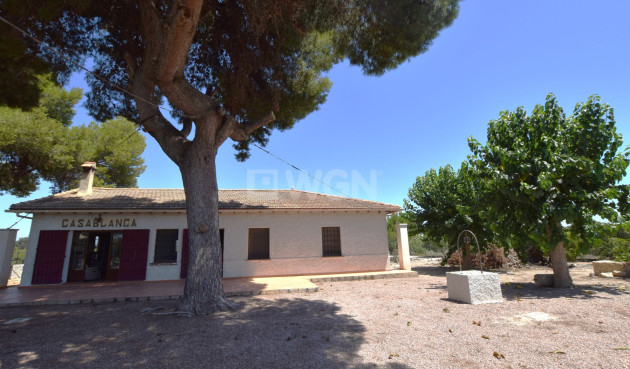 Finca - Resale - Daya Nueva - Costa Blanca