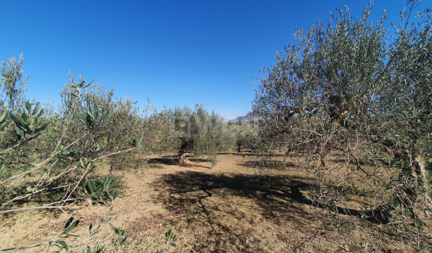 Land - Odsprzedaż - Alhaurin el Grande - 79853