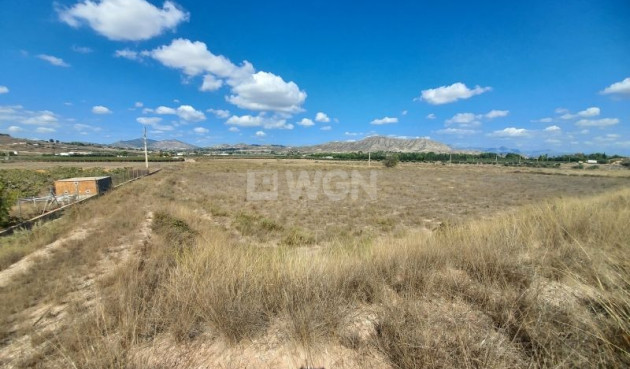 Land - Odsprzedaż - Hondón de las Nieves - Inland