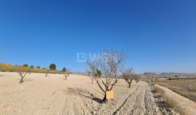 Land - Odsprzedaż - Jumilla - Inland