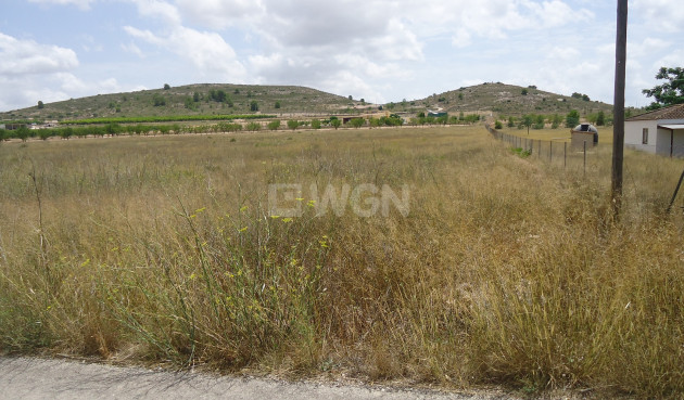 Land - Odsprzedaż - Jumilla - Inland