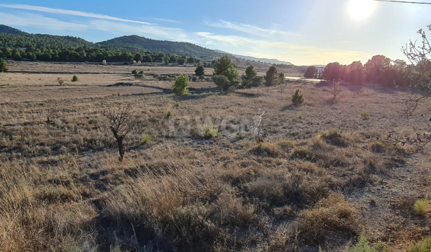 Land - Odsprzedaż - Monóvar/Monóver - Inland