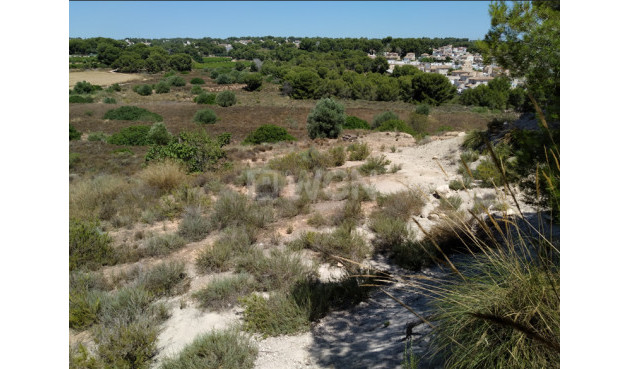 Land - Odsprzedaż - Pinar de Campoverde - Inland