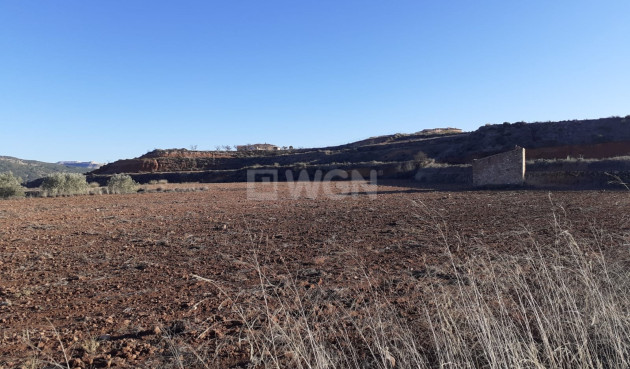 Land - Odsprzedaż - Pinoso - 92671