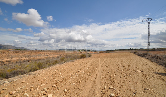 Land - Odsprzedaż - Pinoso - Inland