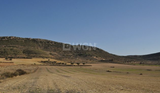 Land - Odsprzedaż - Torre Del Rico - Inland