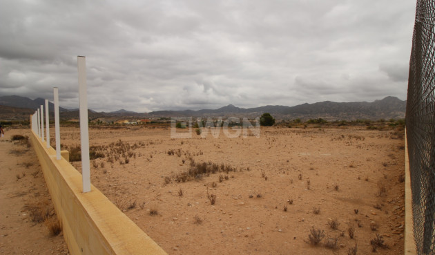 Land - Resale - Abanilla - 75079