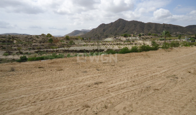 Land - Resale - Abanilla - Inland