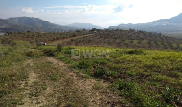 Land - Resale - Alora - 99302