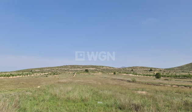 Land - Resale - Jumilla - Inland