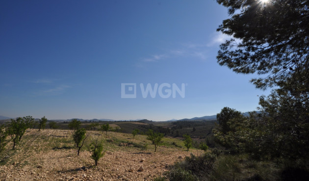 Land - Resale - La Zarza - 32701