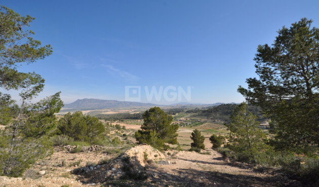 Land - Resale - La Zarza - 74271