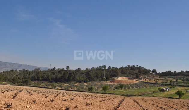 Land - Resale - La Zarza - Inland