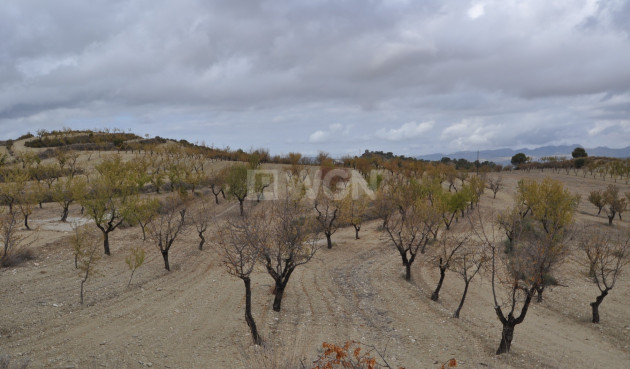 Land - Resale - La Zarza - Inland