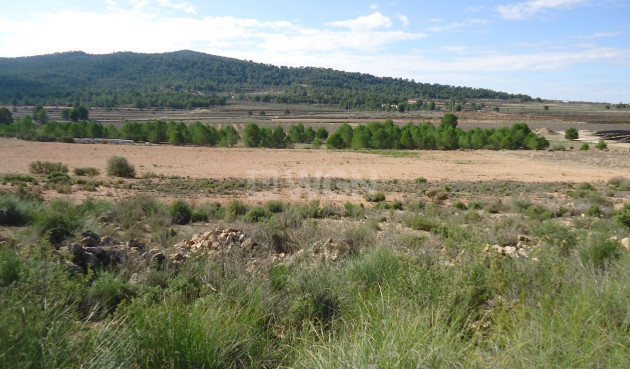 Land - Resale - Monóvar/Monóver - Inland