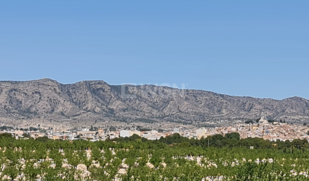 Land - Resale - Monóvar/Monóver - Inland