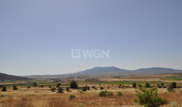 Land - Resale - Pinoso - 60753