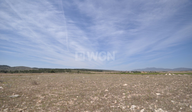 Land - Resale - Pinoso - 81339