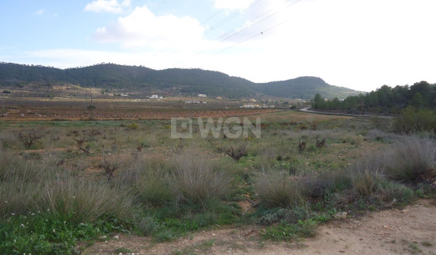 Land - Resale - Pinoso - Inland