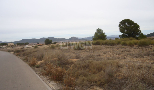 Land - Resale - Pinoso - Inland