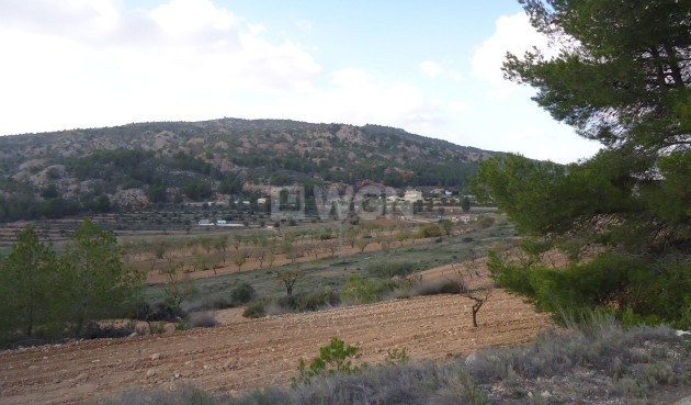 Land - Resale - Pinoso - Inland