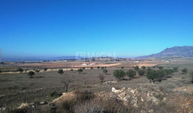 Land - Resale - Torre Del Rico - Inland