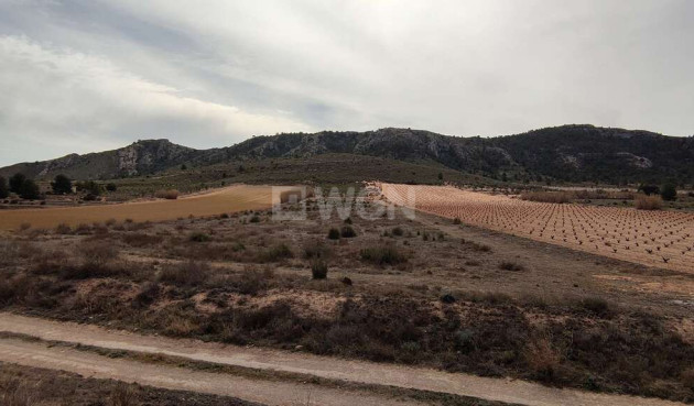 Land - Resale - Villena - Inland