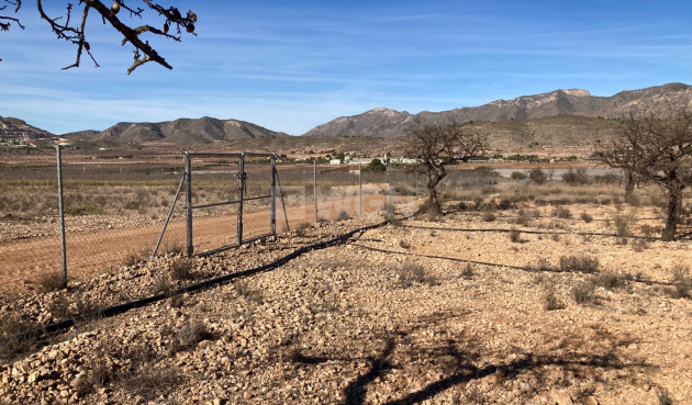 Land - Reventa - Hondón de las Nieves - Inland