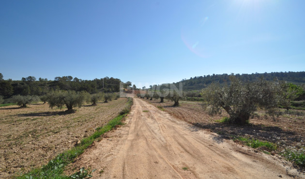 Land - Reventa - La Zarza - Inland