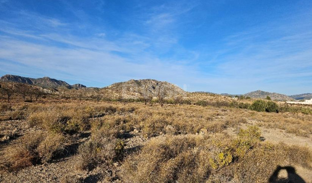 Land - Wiederverkauf - Elda - 03600