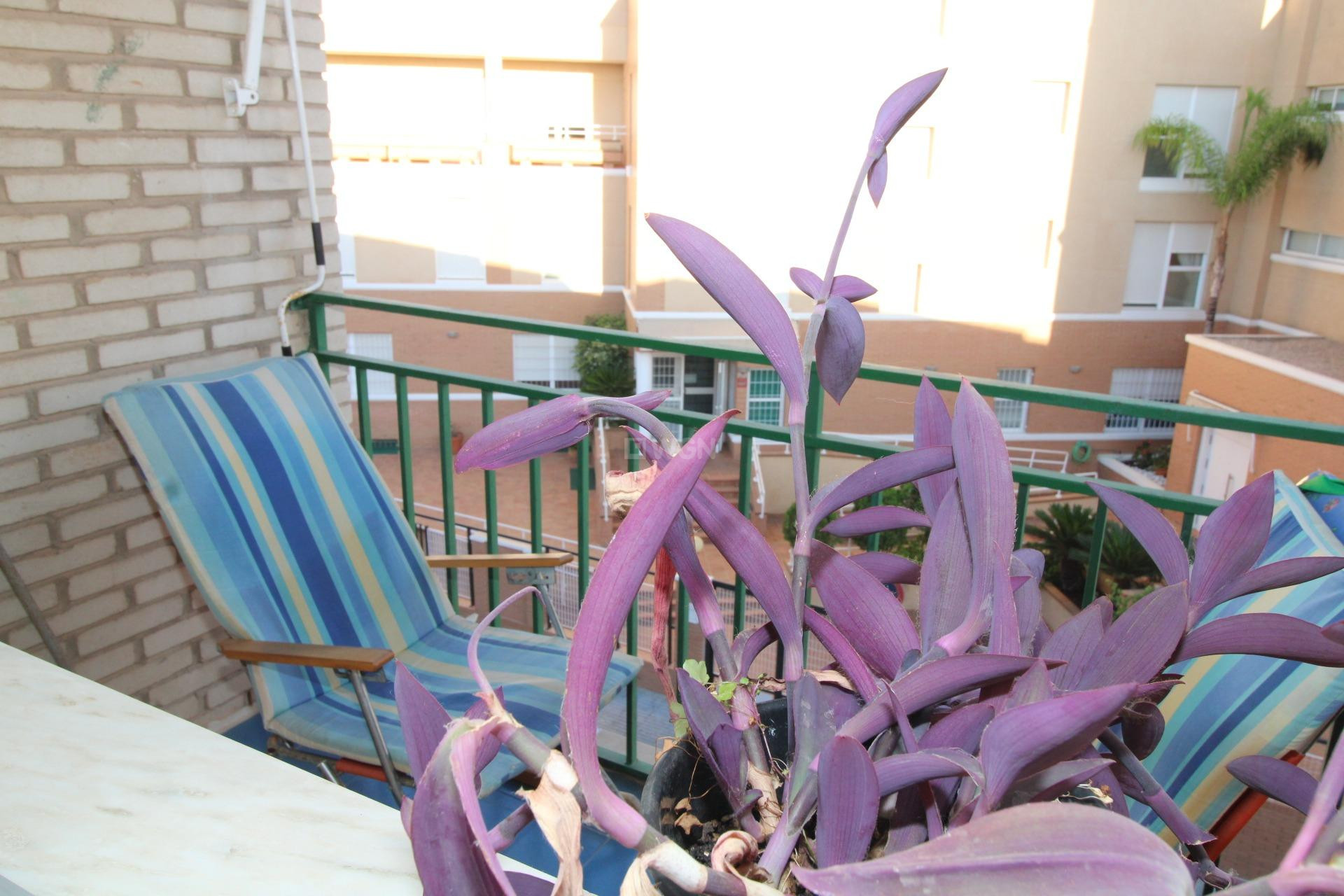 Long Term Rental - Apartment / flat - San Pedro del Pinatar - Lo pagan