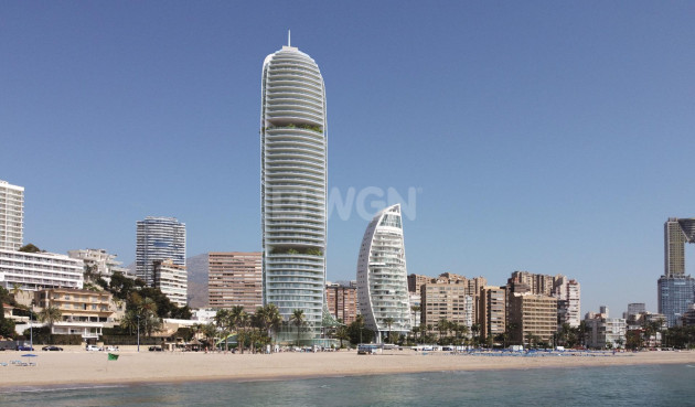 Mieszkanie w bloku - Nowy budynek - Benidorm - Playa Poniente