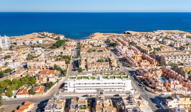 Mieszkanie w bloku - Nowy budynek - Torrevieja - Los Frutales
