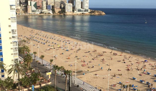 Mieszkanie w bloku - Odsprzedaż - Benidorm - Costa Blanca