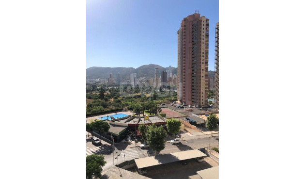 Mieszkanie w bloku - Odsprzedaż - Benidorm - Costa Blanca