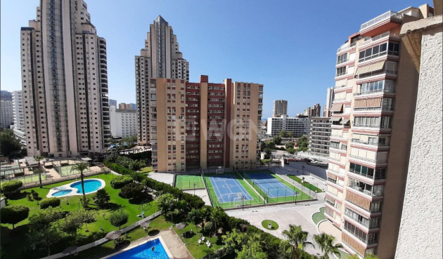 Mieszkanie w bloku - Odsprzedaż - Benidorm - Costa Blanca