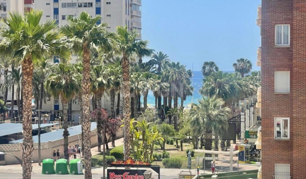 Mieszkanie w bloku - Odsprzedaż - Benidorm - Costa Blanca