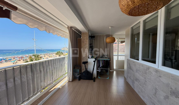 Mieszkanie w bloku - Odsprzedaż - Benidorm - Costa Blanca