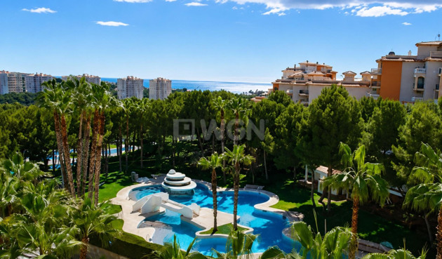 Mieszkanie w bloku - Odsprzedaż - Orihuela Costa - Altos De Campoamor