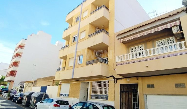 Mieszkanie w bloku - Odsprzedaż - Torrevieja - 39963
