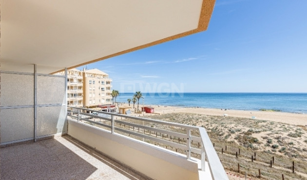 Mieszkanie w bloku - Odsprzedaż - Torrevieja - 56383